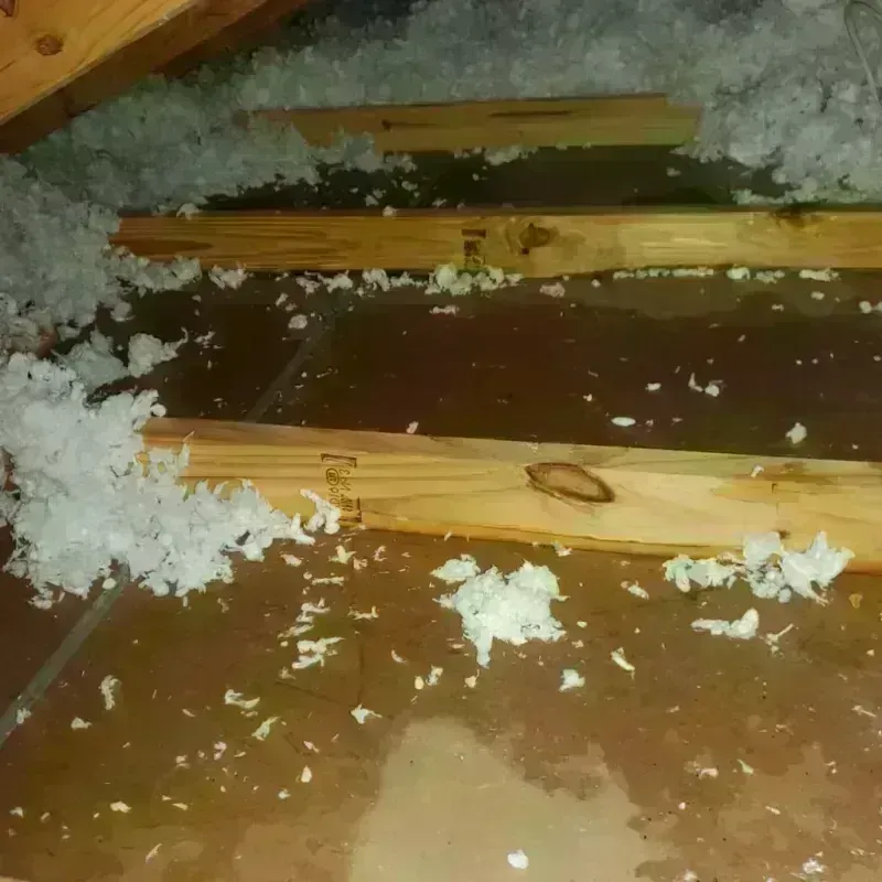 Attic Water Damage in Ridgeland, SC