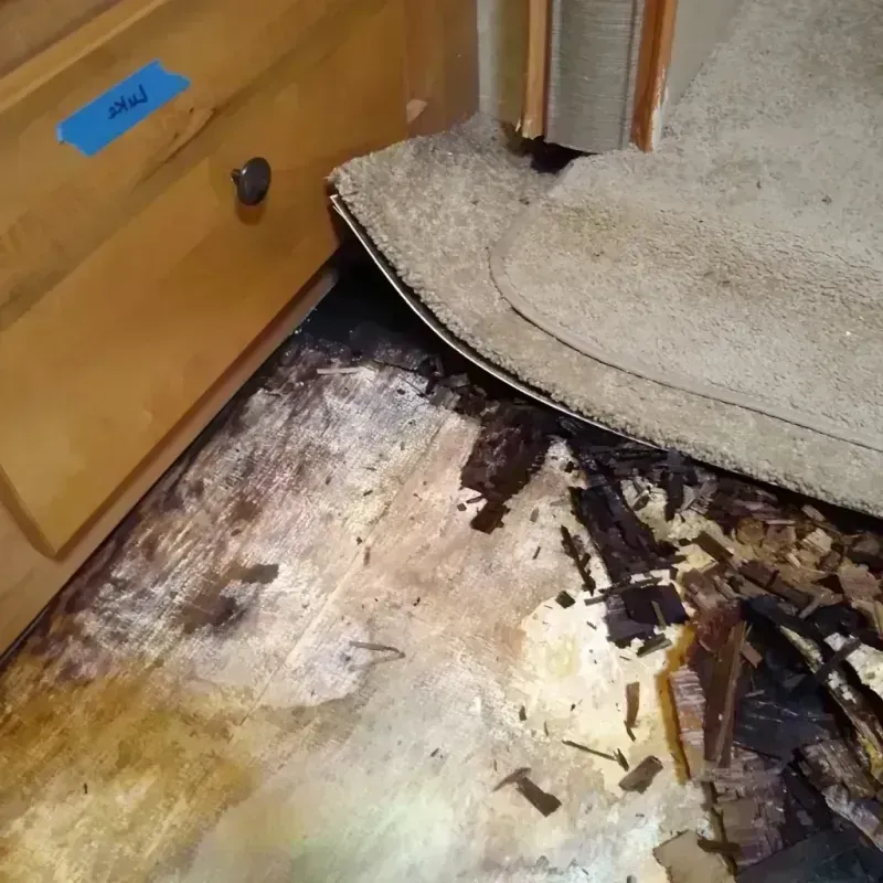 Wood Floor Water Damage in Ridgeland, SC